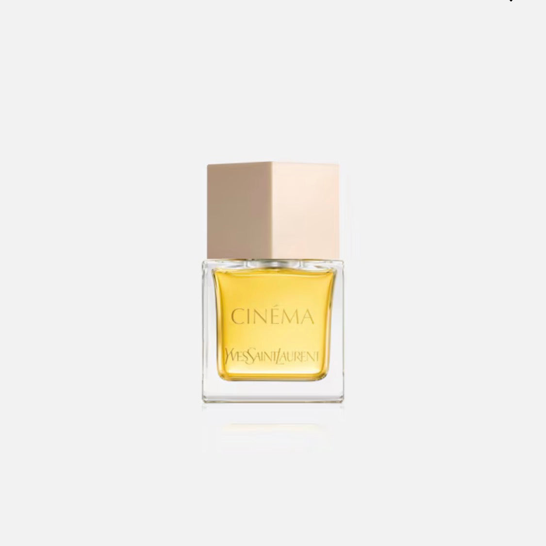 YVES SAINT-LAURENT CINÉMA