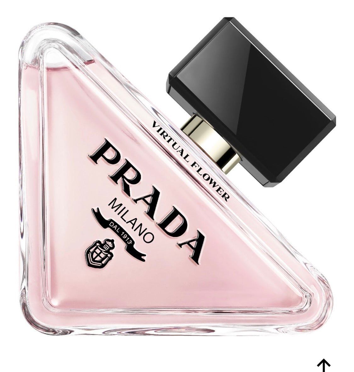 PRADA PARADOXE